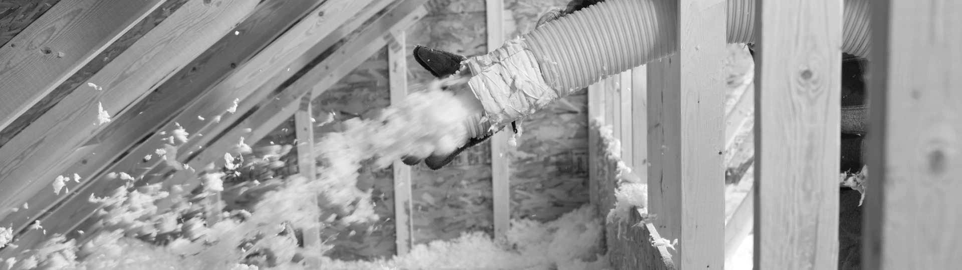 Attic & Basement Insulation breadcrumb